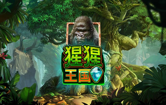 卓仪韵